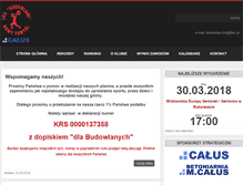 Tablet Screenshot of budowlani-tnt.pl